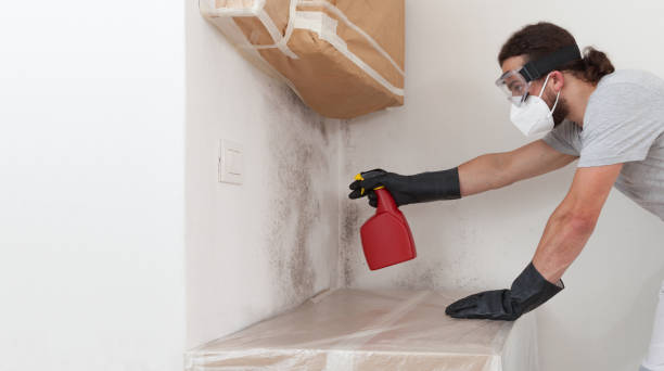 Attic Mold Remediation treatment on roof deck in La Grange